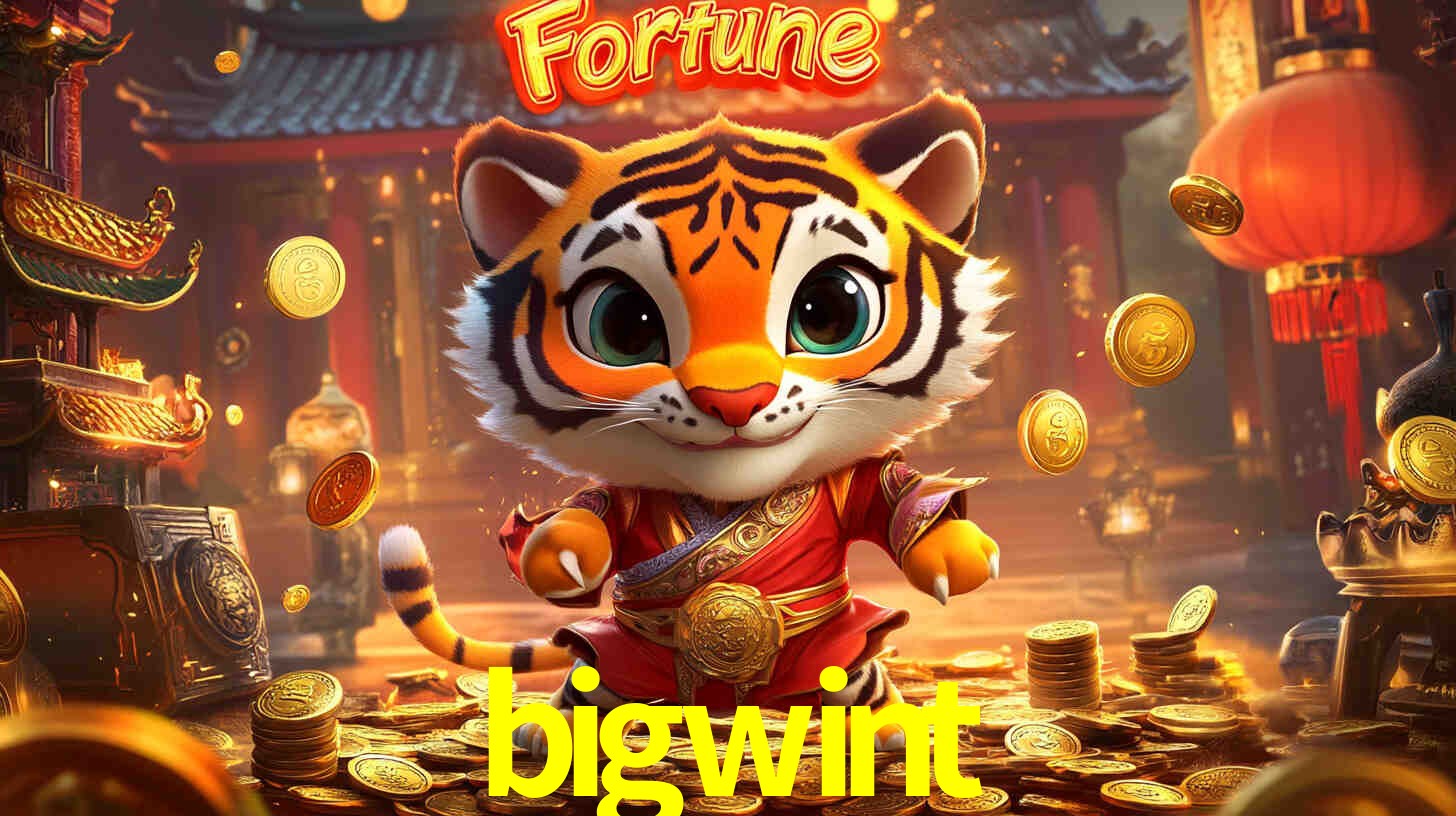 Descubra o Programa VIP da bigwint: Vantagens Exclusivas para Jogadores