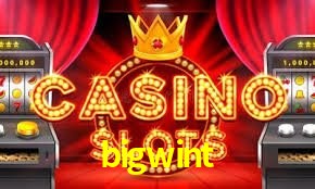 Game Providers bigwint